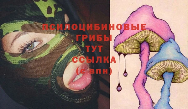 МДПВ Алзамай
