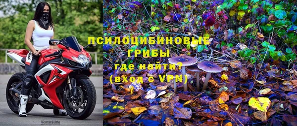 тгк Алексин